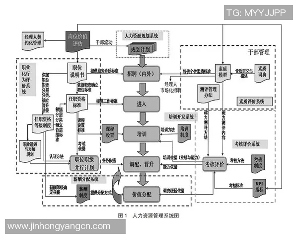 武汉排球队的转型之路:深度解析排球战术与团队协作的变革 武汉排球队的转型之路:深度解析排球战术与团队协作的变革