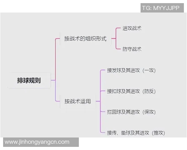 排球深度解析:杭州排球队如何实现中路突破的战术与技巧 排球深度解析:杭州排球队如何实现中路突破的战术与技巧