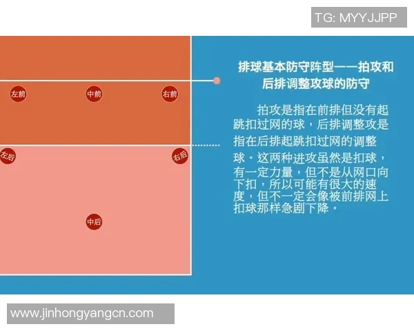广州排球队进攻战术深度解析与实战应用探讨