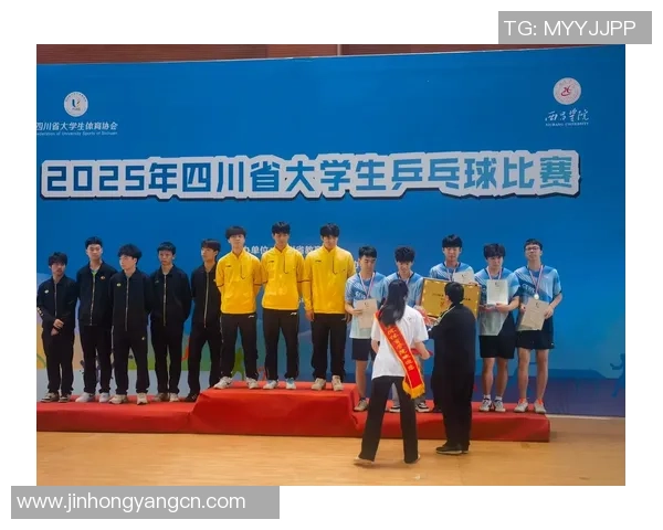 成都乒乓球队配合策略分析与实战应用探讨