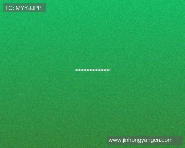 武汉排球队实力强劲荣登全国排球实力排行榜第四名