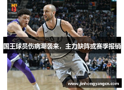 国王球员伤病潮袭来，主力缺阵或赛季报销